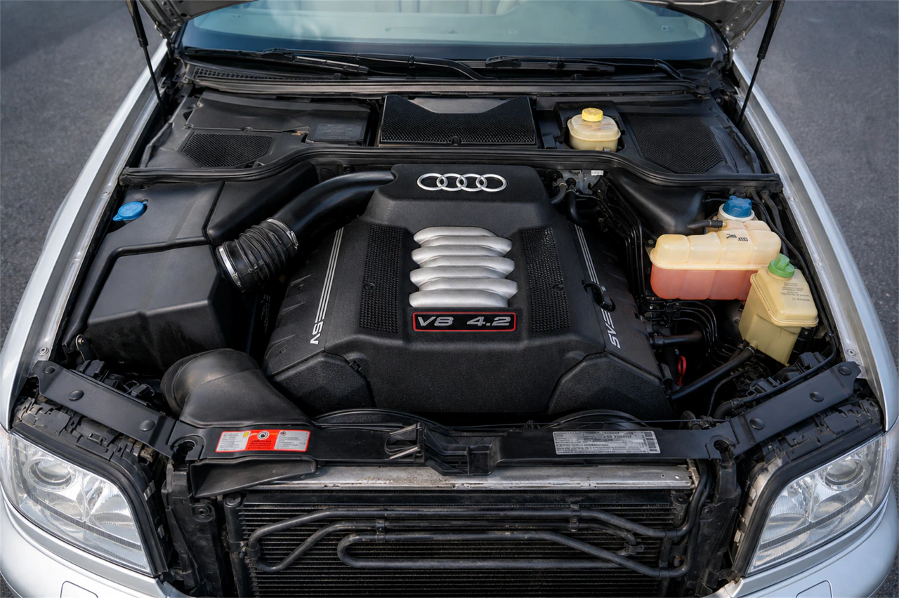 Audi D2 S8 (2001-2003 United States) Inspection Guide engine bay image