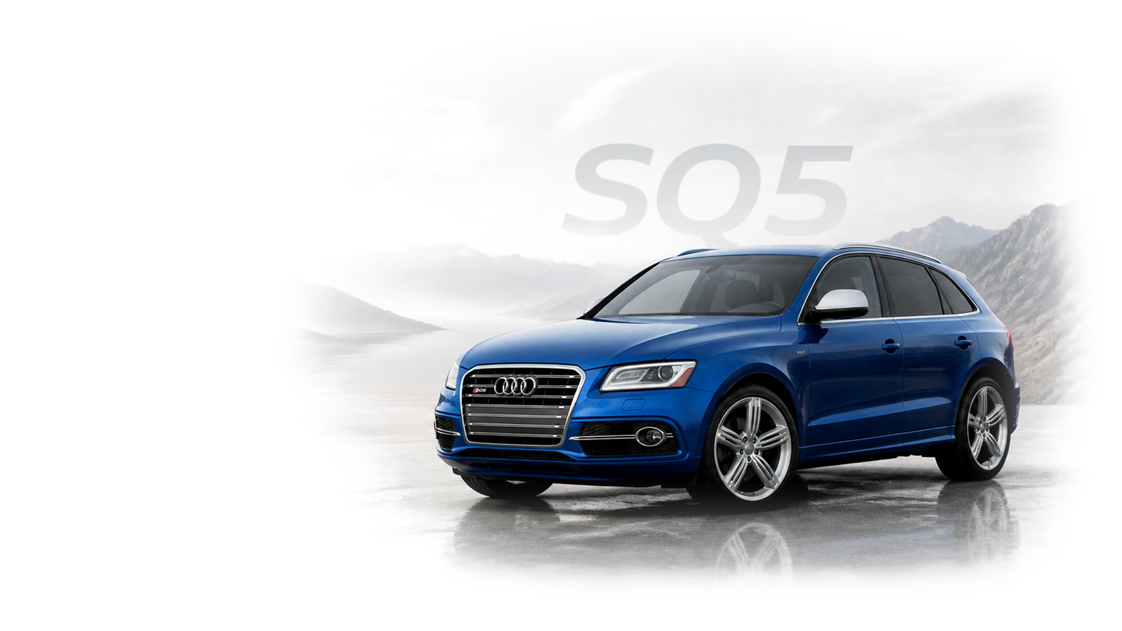 Audi 8R SQ5 3.0T (2014-2017 United States) Inspection Guide article hero image