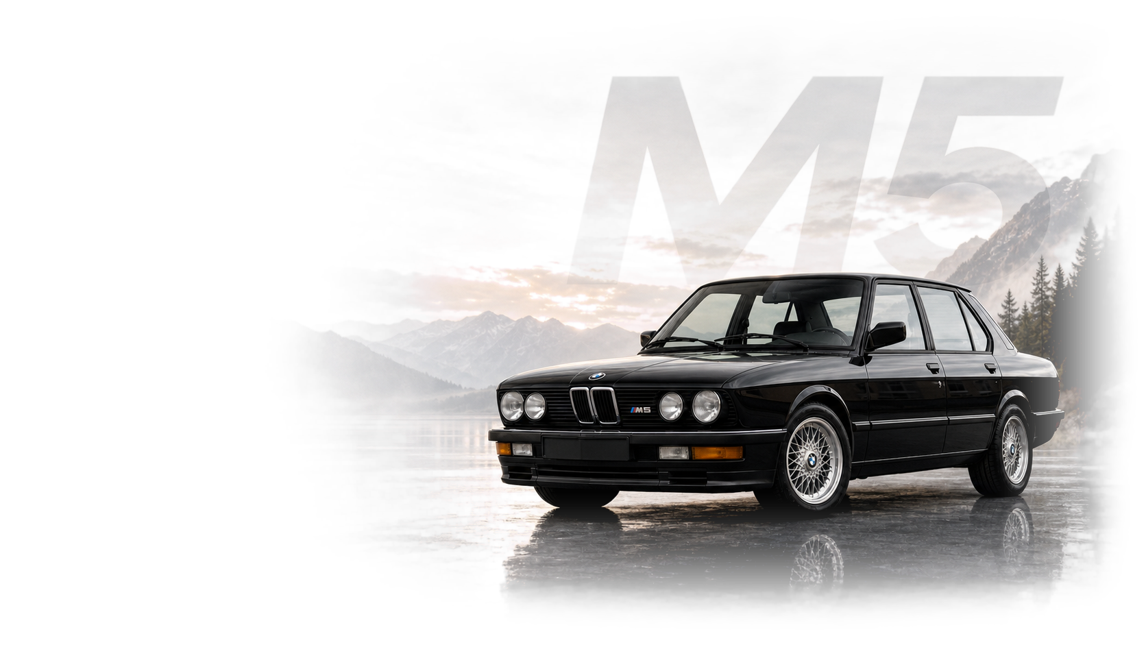 BMW E28 M5 Original M Sedan Inspection Guide accepted MxTicleCars provider article hero image